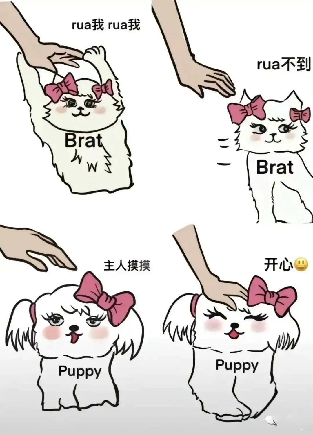 字母圈入圈 - 2023_12_05_21_27_IMG_9363