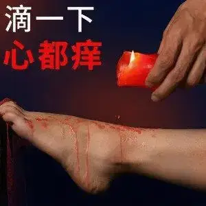 西檬之家-K8是什么？字母圈猫系角色全解析