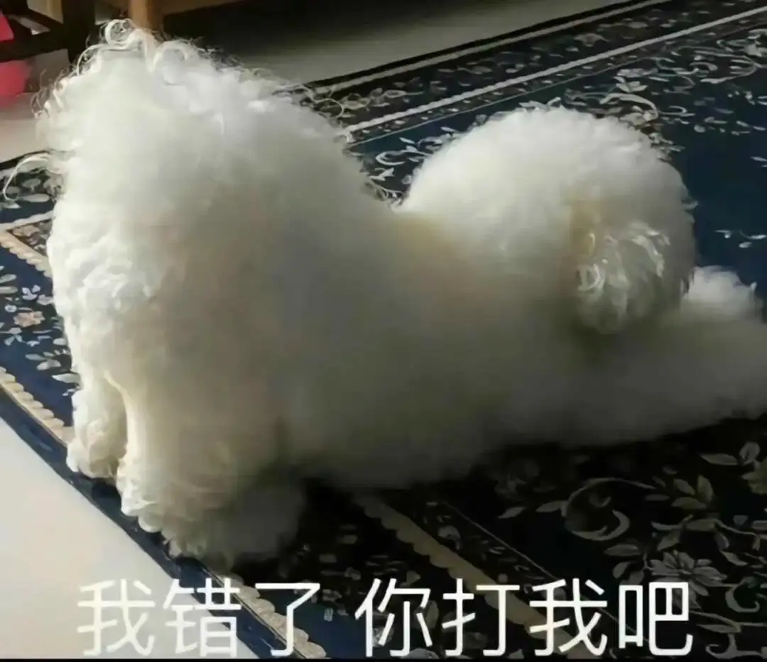 西檬之家-字母圈的Sub是什么意思？