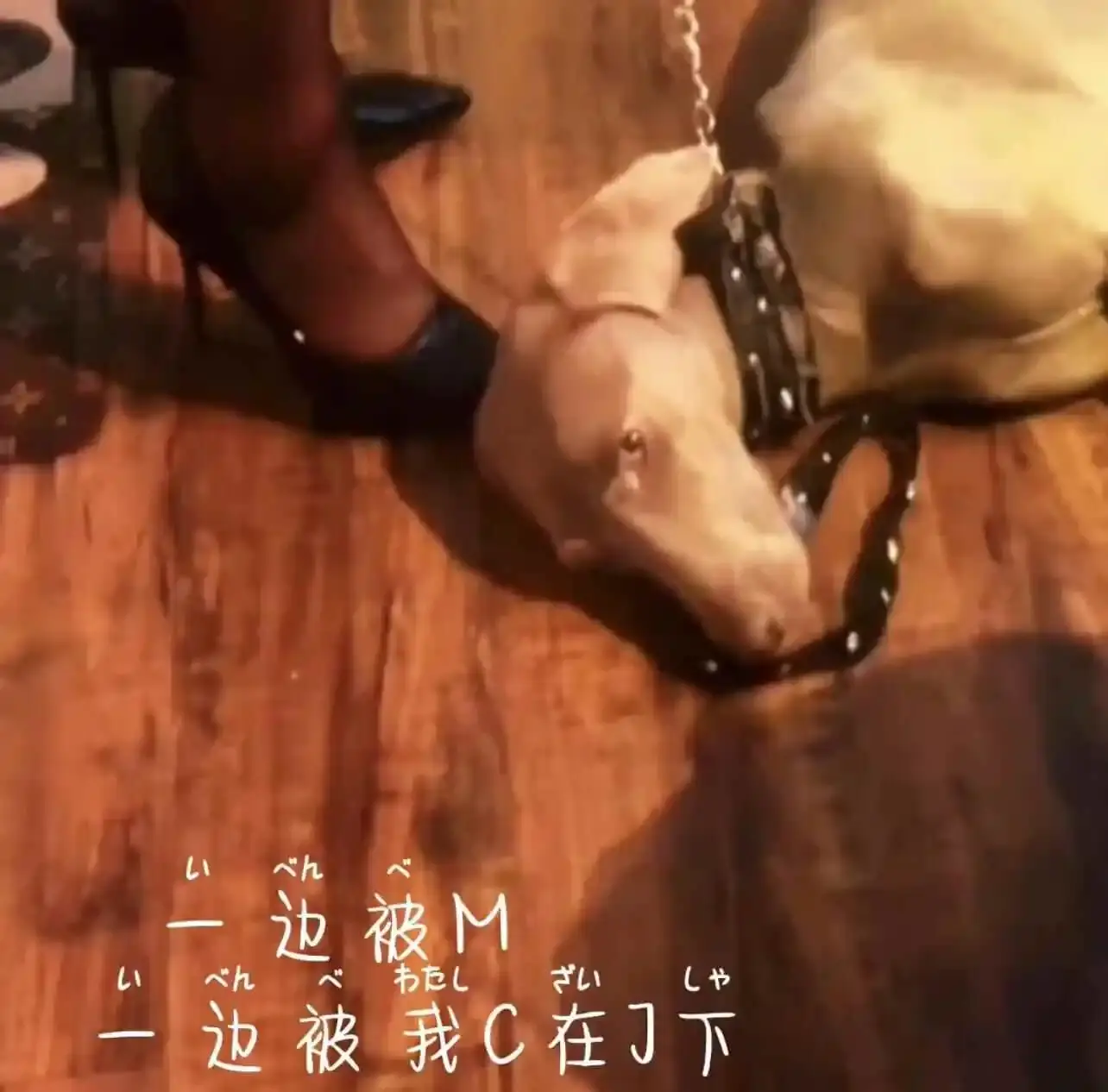 k8是什么 - 2023_11_07_20_50_IMG_8911