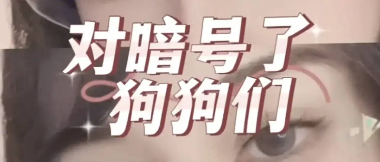 西檬之家-字母圈BDSM新手全面指南