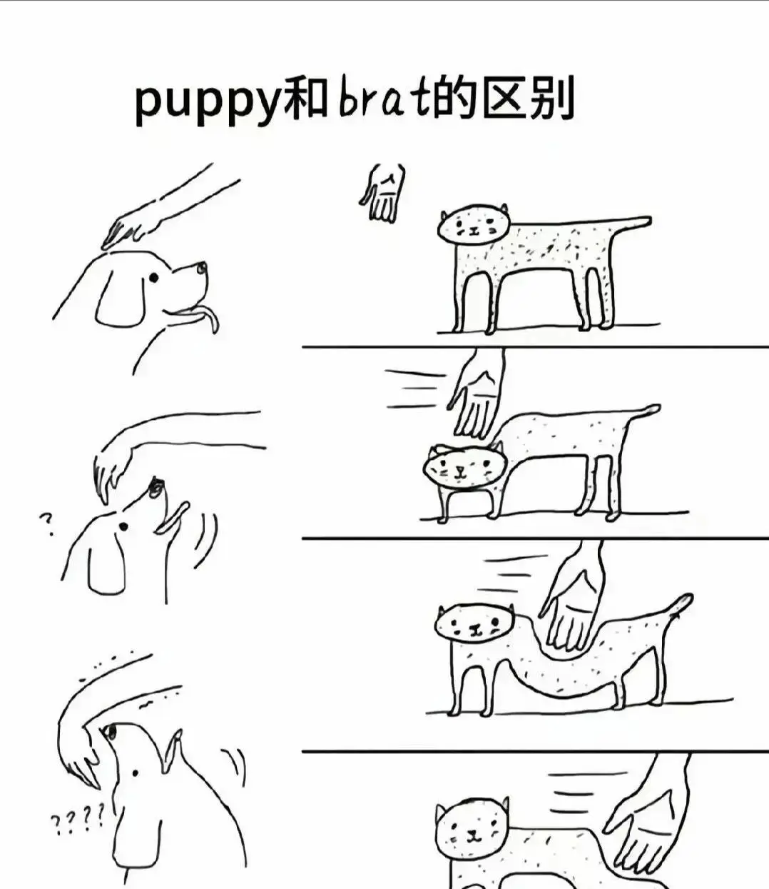 西檬之家-tickle是什么？你的字母圈属性是什么？