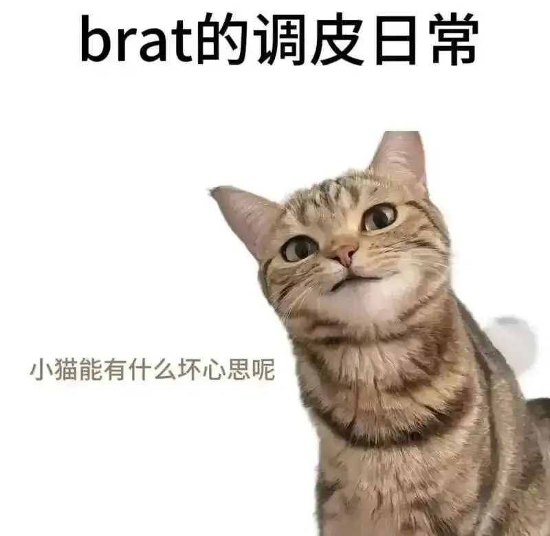 M倾向 - 微信图片_20251203212836_109_19