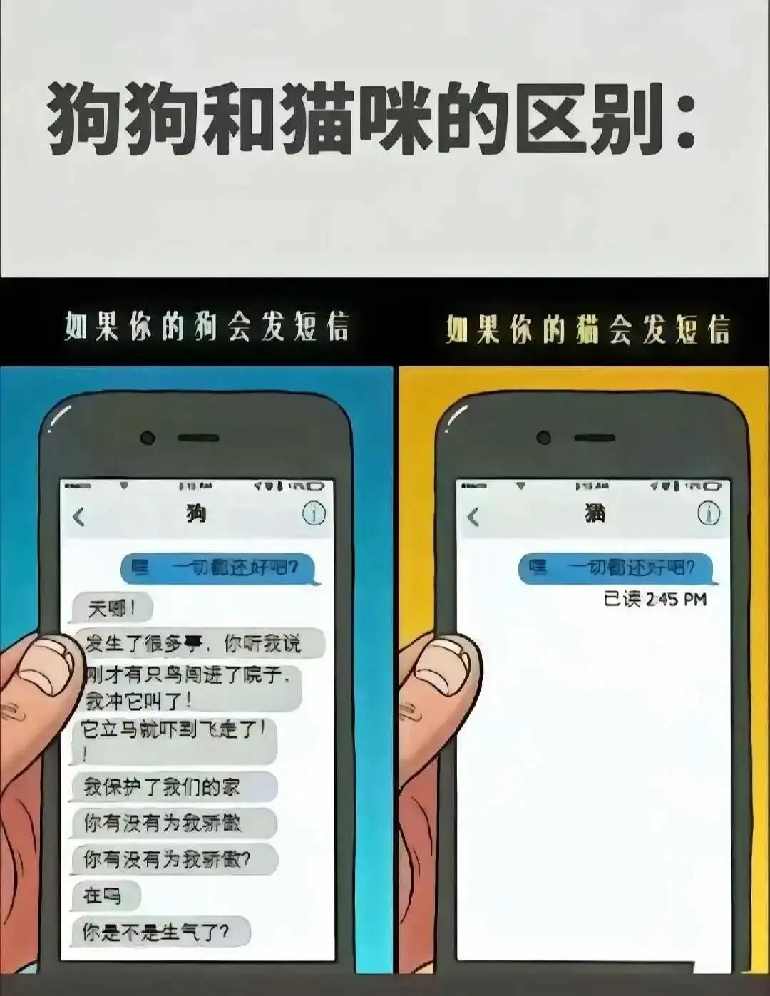 西檬之家-字母圈的S属性解析